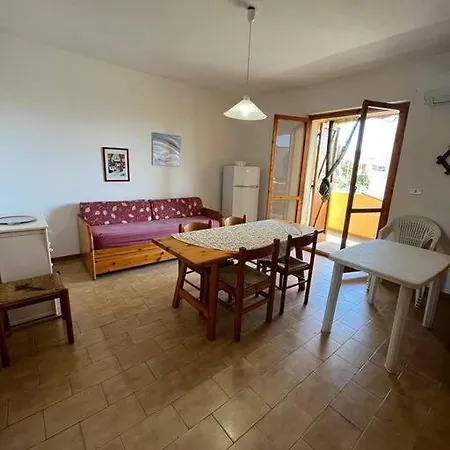 Gli Eucalipti